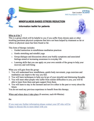 MBSR outline for patients