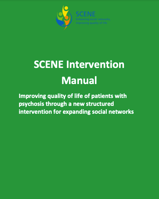Scene Intervention Manual