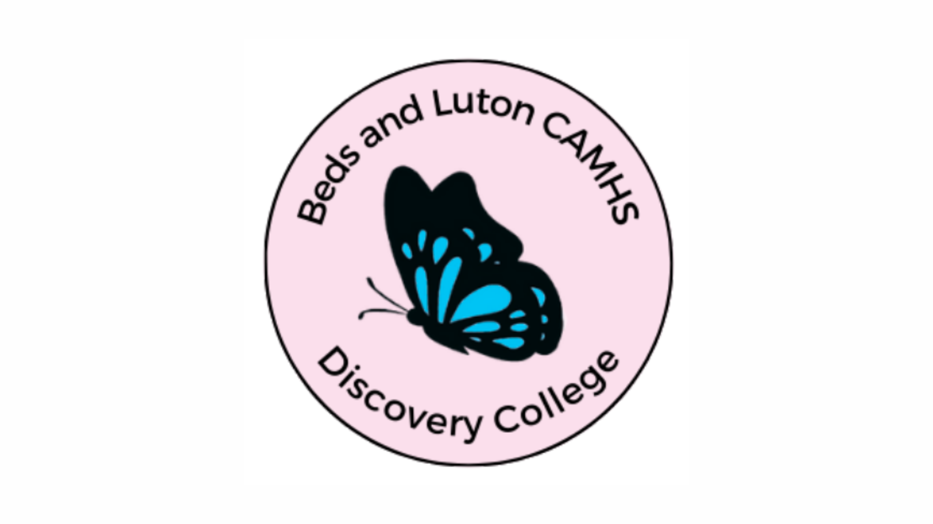 The Discovery College logo