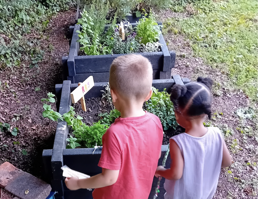 children in herb garden