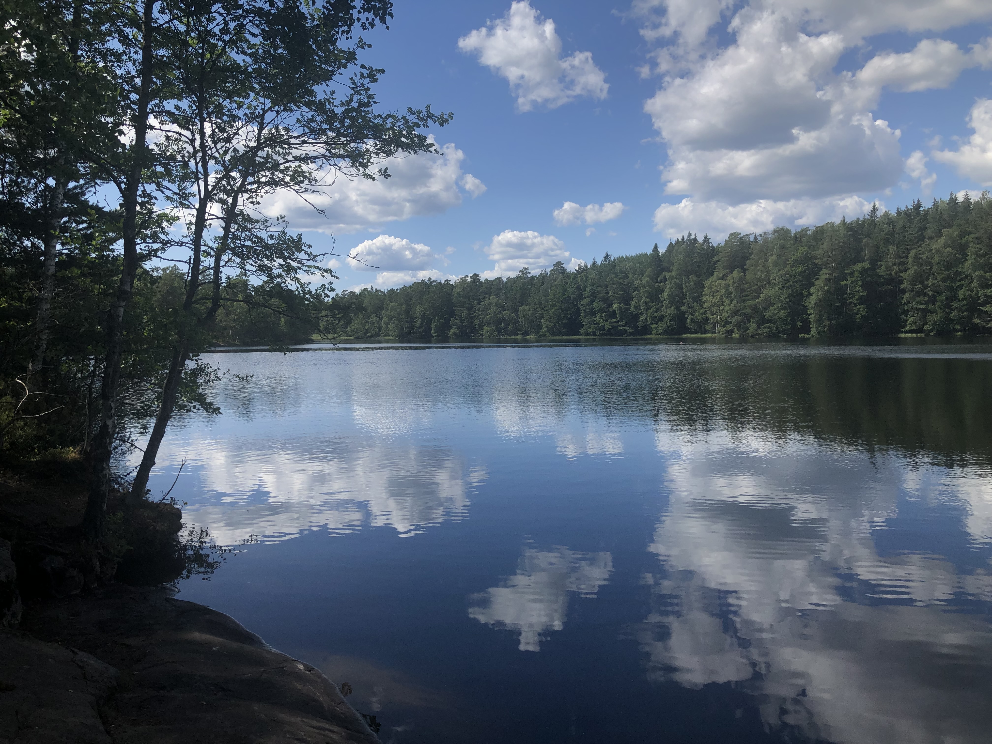 Photo of lake and trees