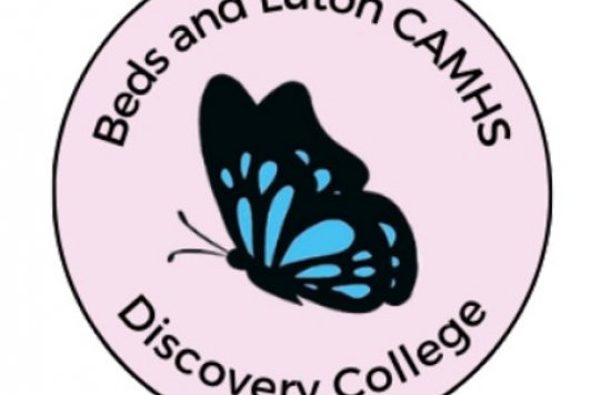 Doscovery College Logo 