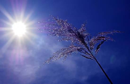 Heat, sun, drought