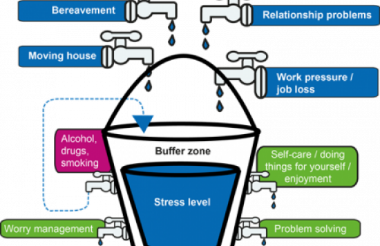Stress Bucket 