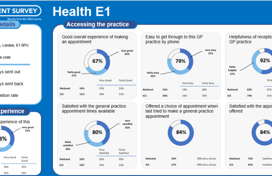 Health E1 GP Survey results