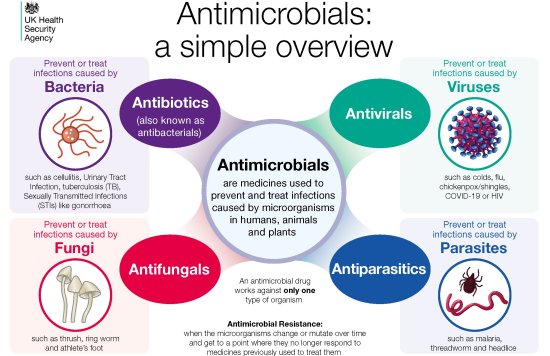 Antimicrobials flow chart