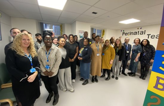 Staff at the Tower Hamlets Perinatal Service posing for a photo.