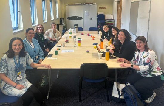 Colleagues from ELFT and NEL ICB during the AHP visit.