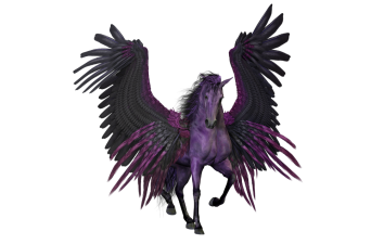 Image for the Pegasus group