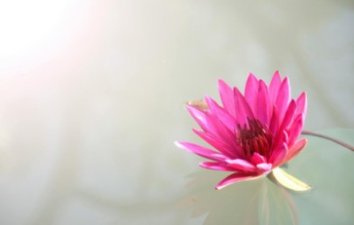 Living Well With Menopause